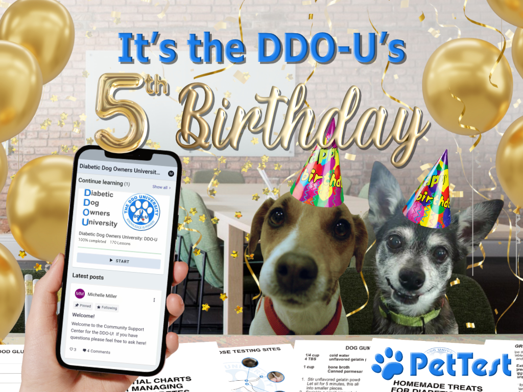 ddou-fifth-birthday.jpg